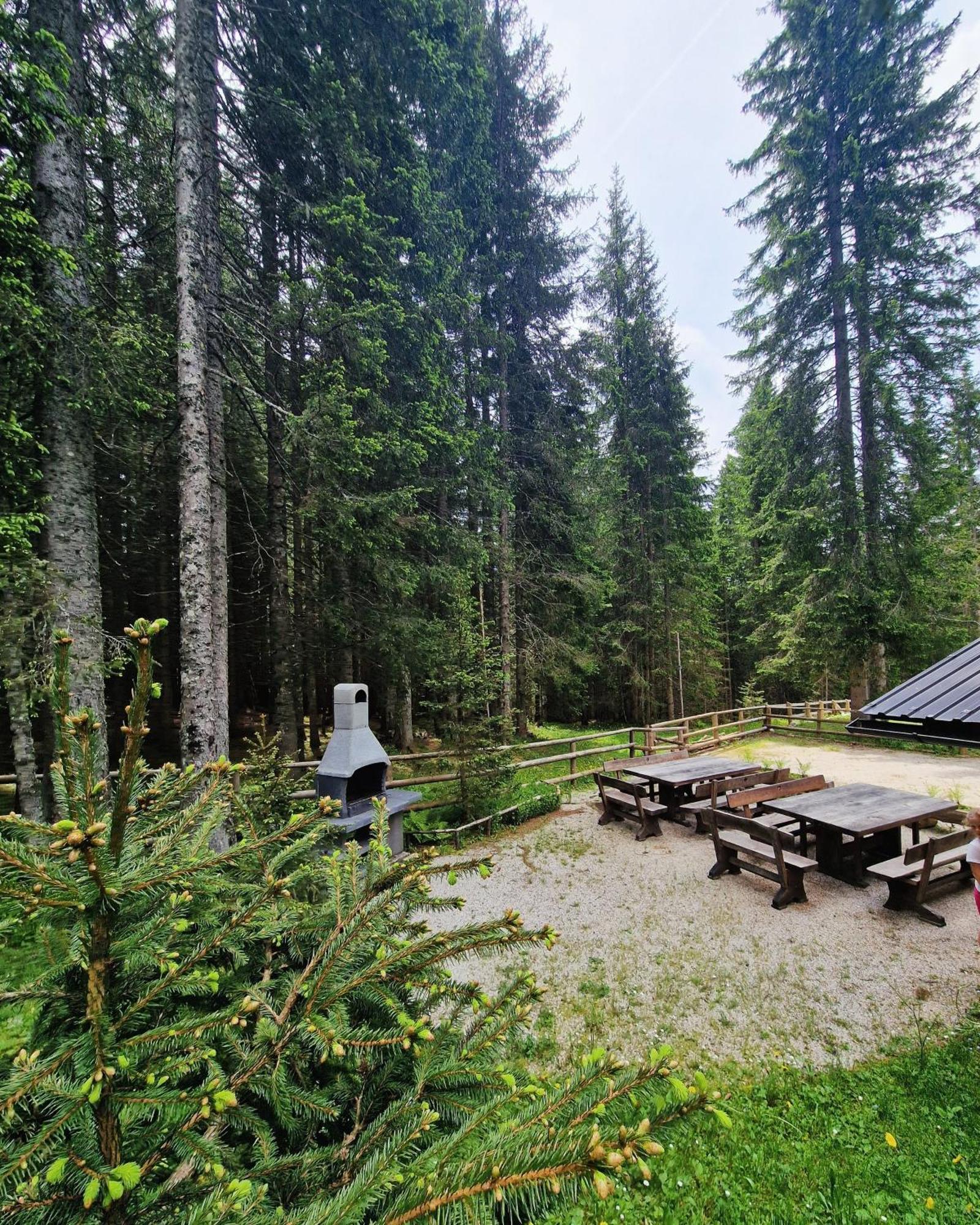 Forest Apartments Pokljuka Zgornje Gorje Bagian luar foto