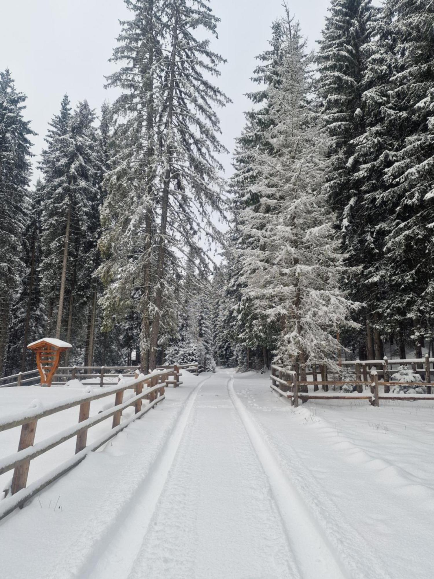 Forest Apartments Pokljuka Zgornje Gorje Bagian luar foto