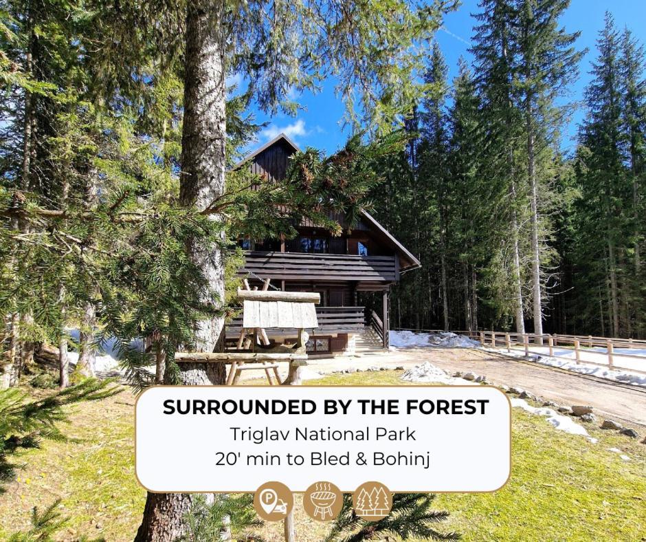 Forest Apartments Pokljuka Zgornje Gorje Bagian luar foto