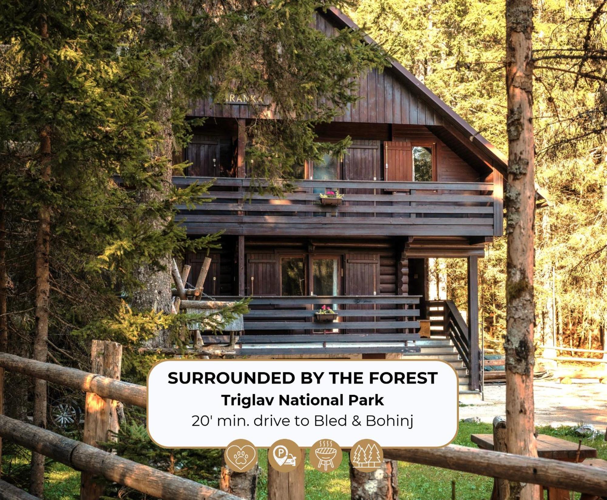 Forest Apartments Pokljuka Zgornje Gorje Bagian luar foto