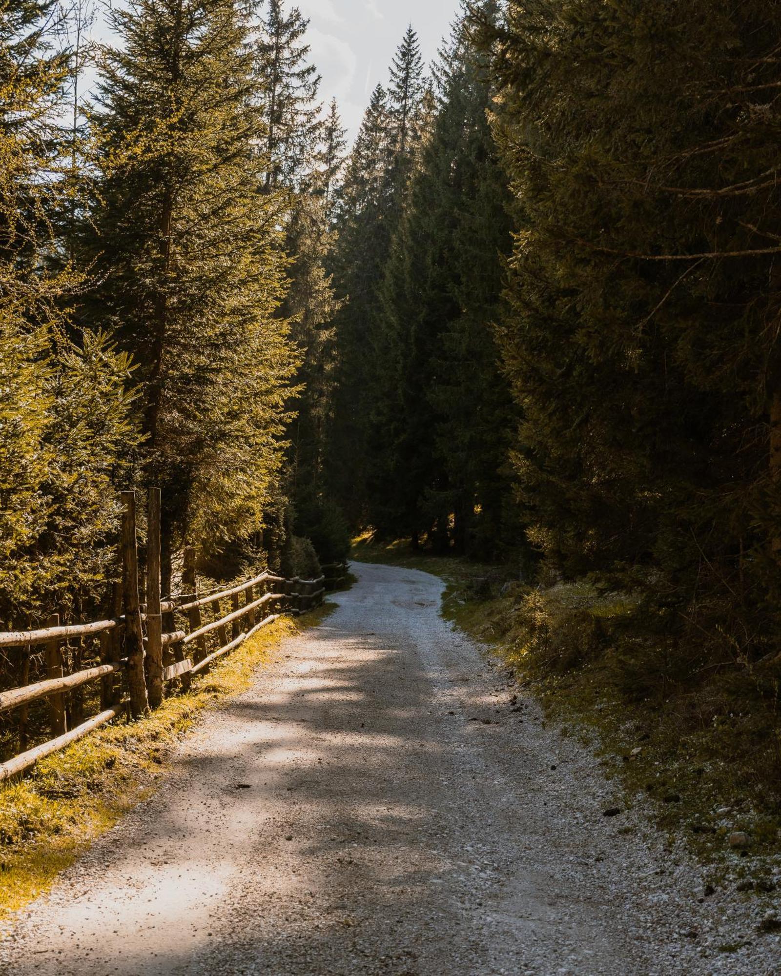 Forest Apartments Pokljuka Zgornje Gorje Bagian luar foto